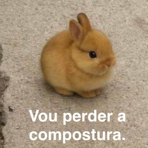 FB IMG 1767495145685.jpg