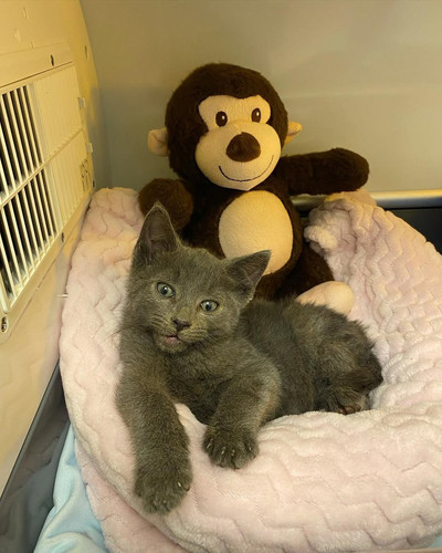 G d5R7BWcAADL4I?format=jpg.jpg