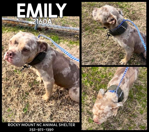 G TXI8nW0AASz4R?format=jpg.jpg