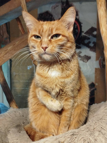 G X9 sDXMAANEcF?format=jpg.jpg