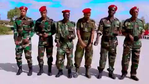 vcDPhouMN2BwEO5C.jpg