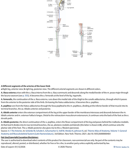 45e0eab06a83.jpg