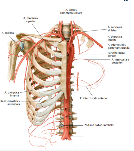 bb746a0991cf.png