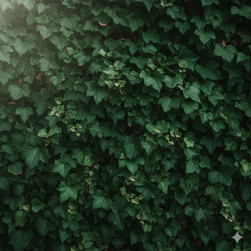 imagem de fundo 2.png