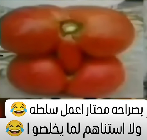 486090215 1844655022974643 4957070048621461841 n ١٢٥٦٠١.jpg