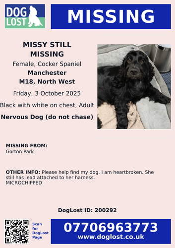 G2hQhJgWMAAvx w?format=png.png