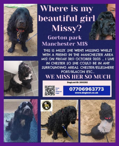 G ZdG8CXQAEzoAv?format=jpg.jpg