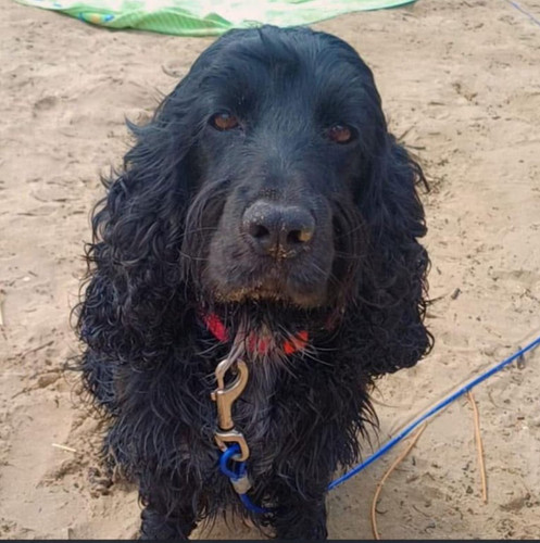 G2hQhSrXgAAYd G?format=jpg.jpg