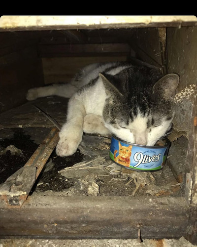 G ZptfeWkAIH6Hl?format=jpg.jpg