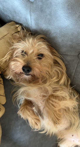 G Z6mTlWUAIcQ53?format=jpg.jpg