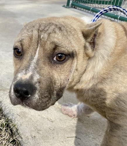 G WQn5RWEAAmI31?format=jpg.jpg