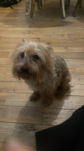 G Z7R1mWgAATgRS?format=jpg.jpg