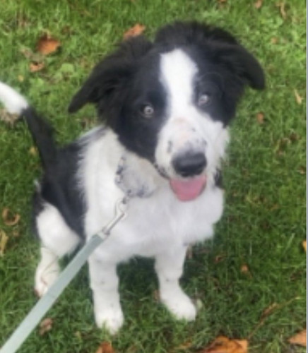 G aSmEZWIAAFhwi?format=jpg.jpg