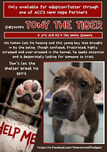 G ZN7NAXMAE907c?format=jpg.jpg