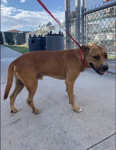 G U7cs0XwAEO lE?format=jpg.jpg