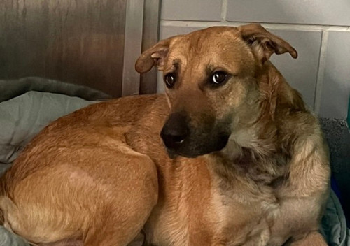 G KwQ5yWcAAv5VY?format=jpg.jpg