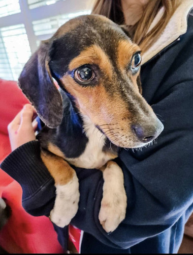 G Z5CkkXEAAobmW?format=jpg.jpg