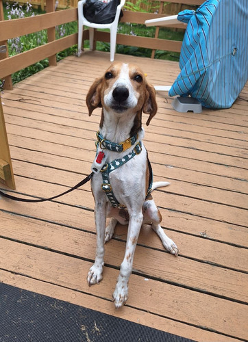 G Z5CkkW4AE2Cou?format=jpg.jpg