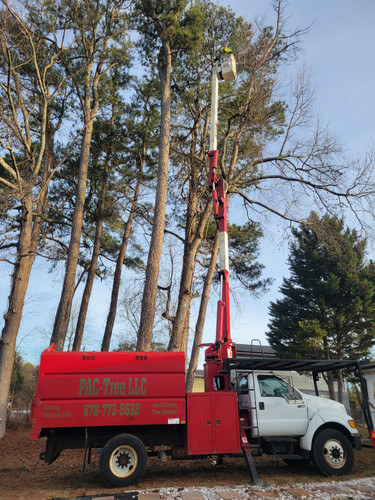 Emergency Tree Removal Grayson.jpg