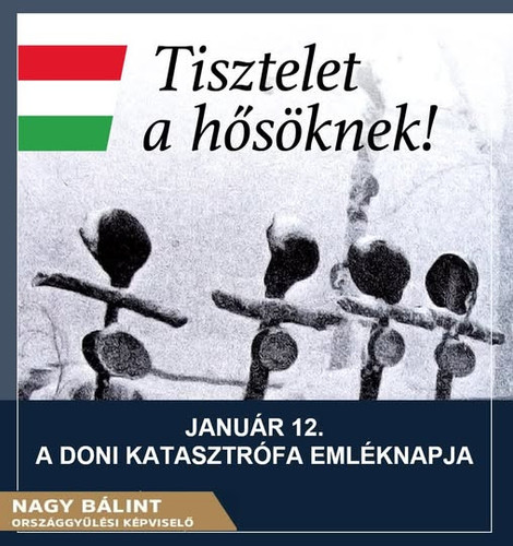 614526661 1741155207248229 2069603245049960121 n.jpg?stp=dst jpg p180x540 tt6& nc cat=104& nc cb=99b.jpg