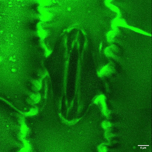 bVC 365630iEa2Yl.jpg