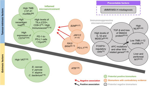 G ZZPv6XMAAcMl3?format=jpg.jpg