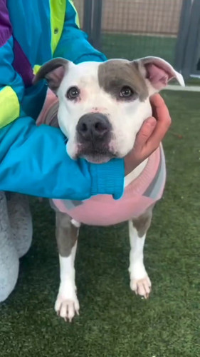 wOqPebz1c1nkjYG .jpg