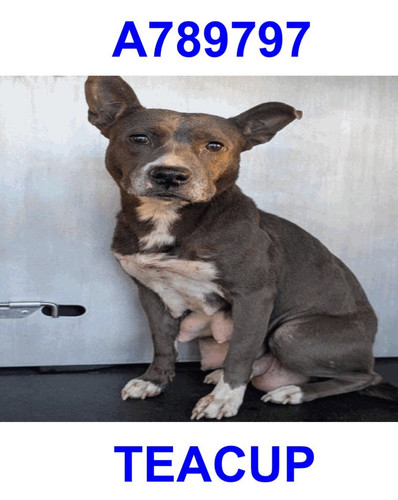 G GkS1DWQAECGkt?format=jpg.jpg