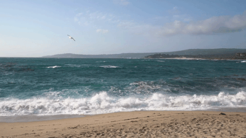 2084cba7d7360ca04c8aaaba44988d58.gif