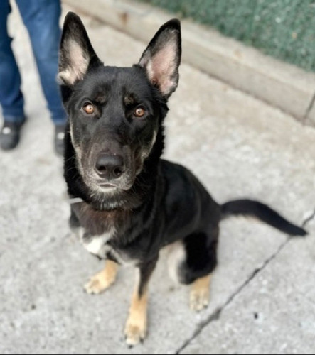 G ES22 WoAIg4dJ?format=jpg.jpg