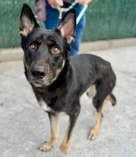 G VvKJPWYAAGbrl?format=jpg.jpg