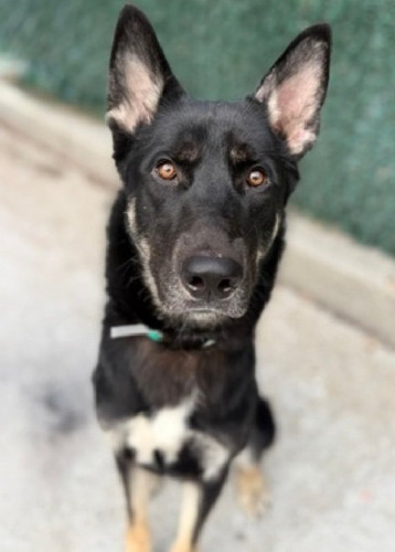 G UpmLWX0AA W6U?format=jpg.jpg