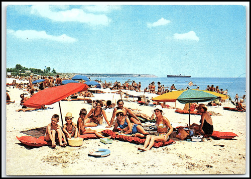 33b68f4dc918.jpg