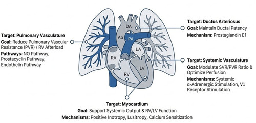 G WzI5bXkAAc2XI?format=jpg.jpg