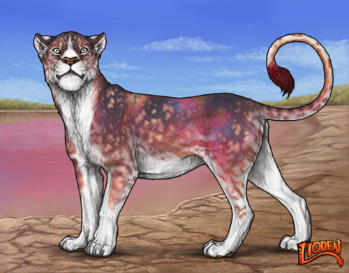 lioden wardrobe (6).png