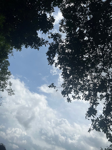 G Rf0WCasAAi3m1?format=jpg.jpg