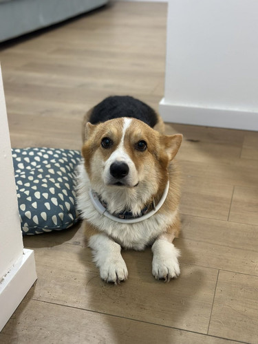 G X5vpIWMAAcuoB?format=jpg.jpg