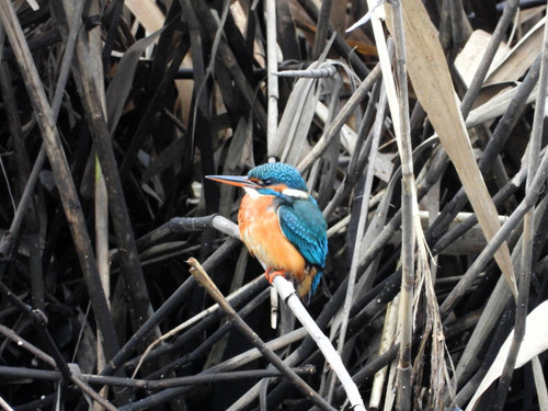 G Yn2pkWYCU72FY?format=jpg.jpg