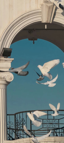 𝙬𝙖𝙡𝙡𝙥𝙖𝙥𝙚𝙧壁纸 1 鲟風 来自小红书网页版.jpg