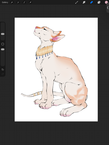IMG 3930.png
