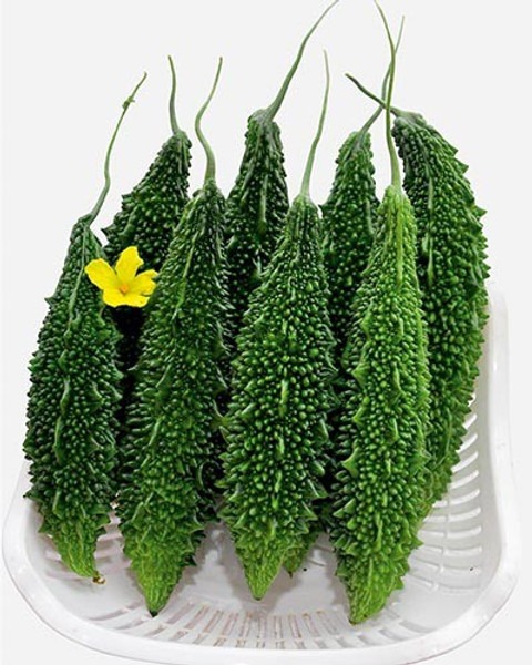 50 f1 hybrid bitter gourd seeds.jpg
