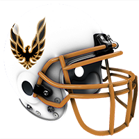 firebird helmet.png