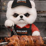 ChatGPT Image 2025년 12월 29일 오후 08 41 31