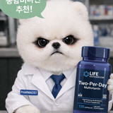 ChatGPT Image 2025년 12월 29일 오후 08 47 40