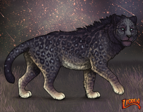 lioden wardrobe 2026 01 03T190300.768.png