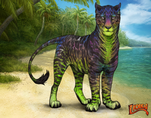 lioden wardrobe 2026 01 03T183654.720.png