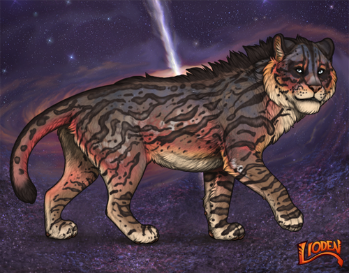 lioden wardrobe 2026 01 03T191259.728.png