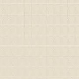 SIMON SAY BEIGE PATTERN