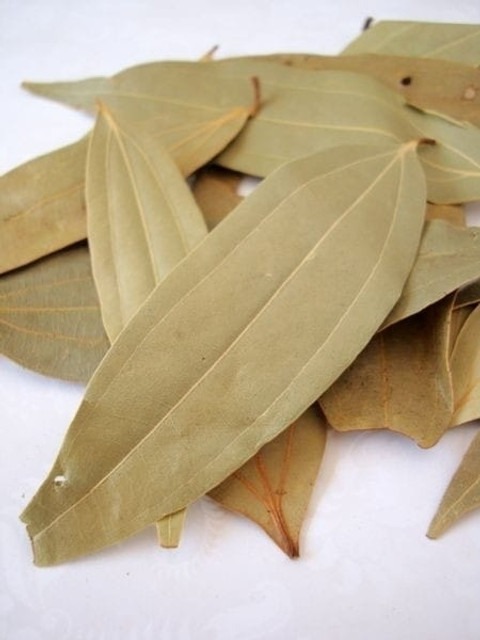yes annual yes indian bay leaves.jpg