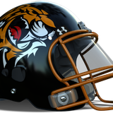 tigers revo2 helmet